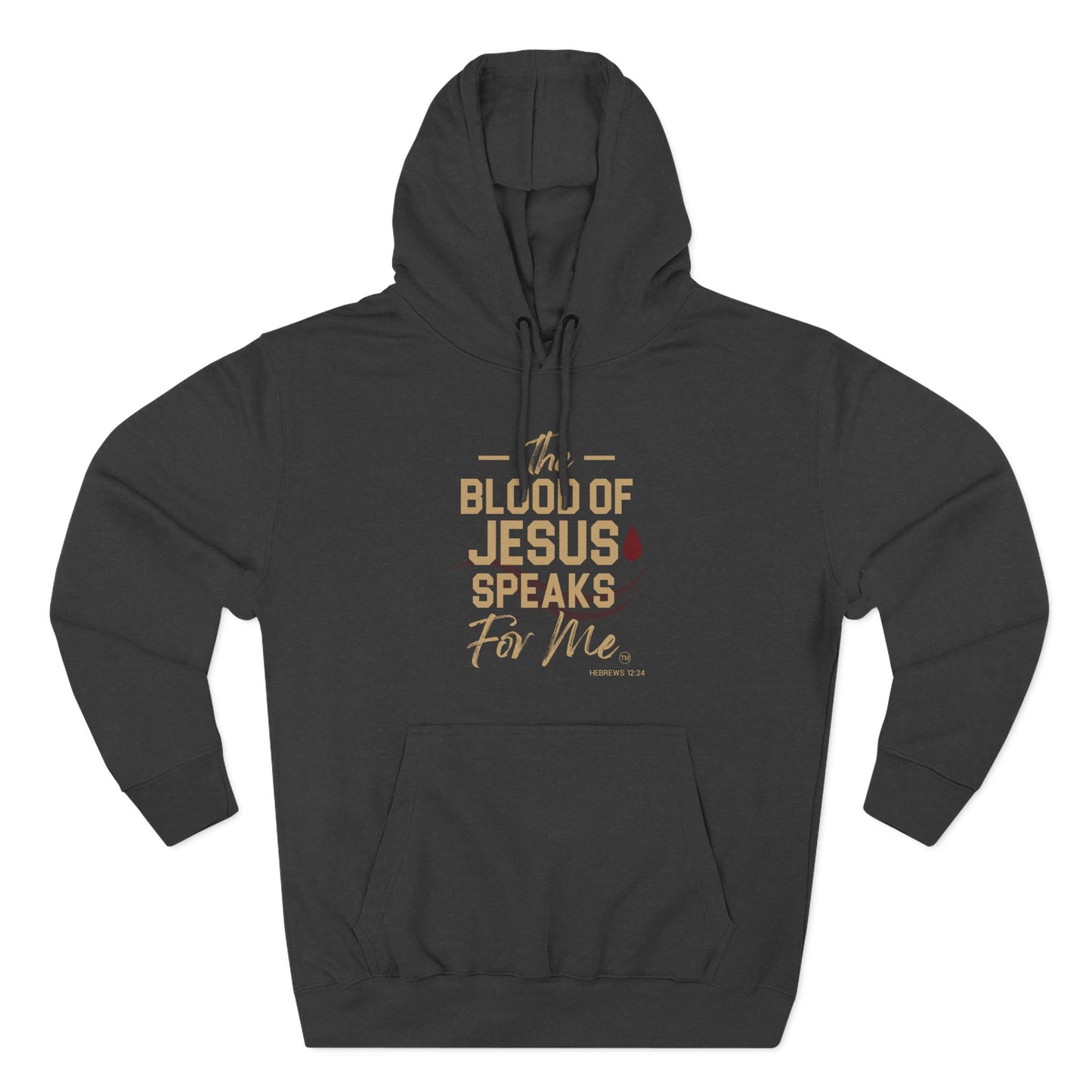 The Blood of Jesus Speaks for Me™  Hoodie