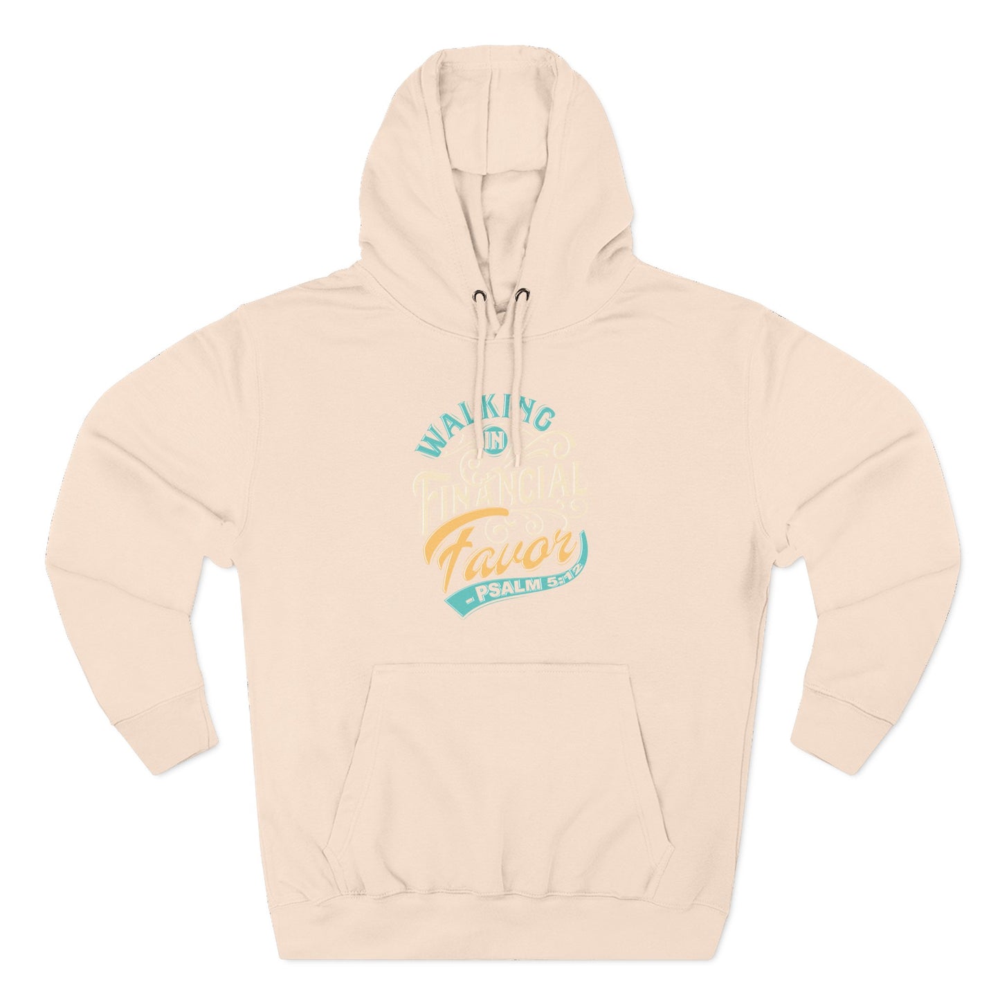 Walking in Financial Favor  Hoodie