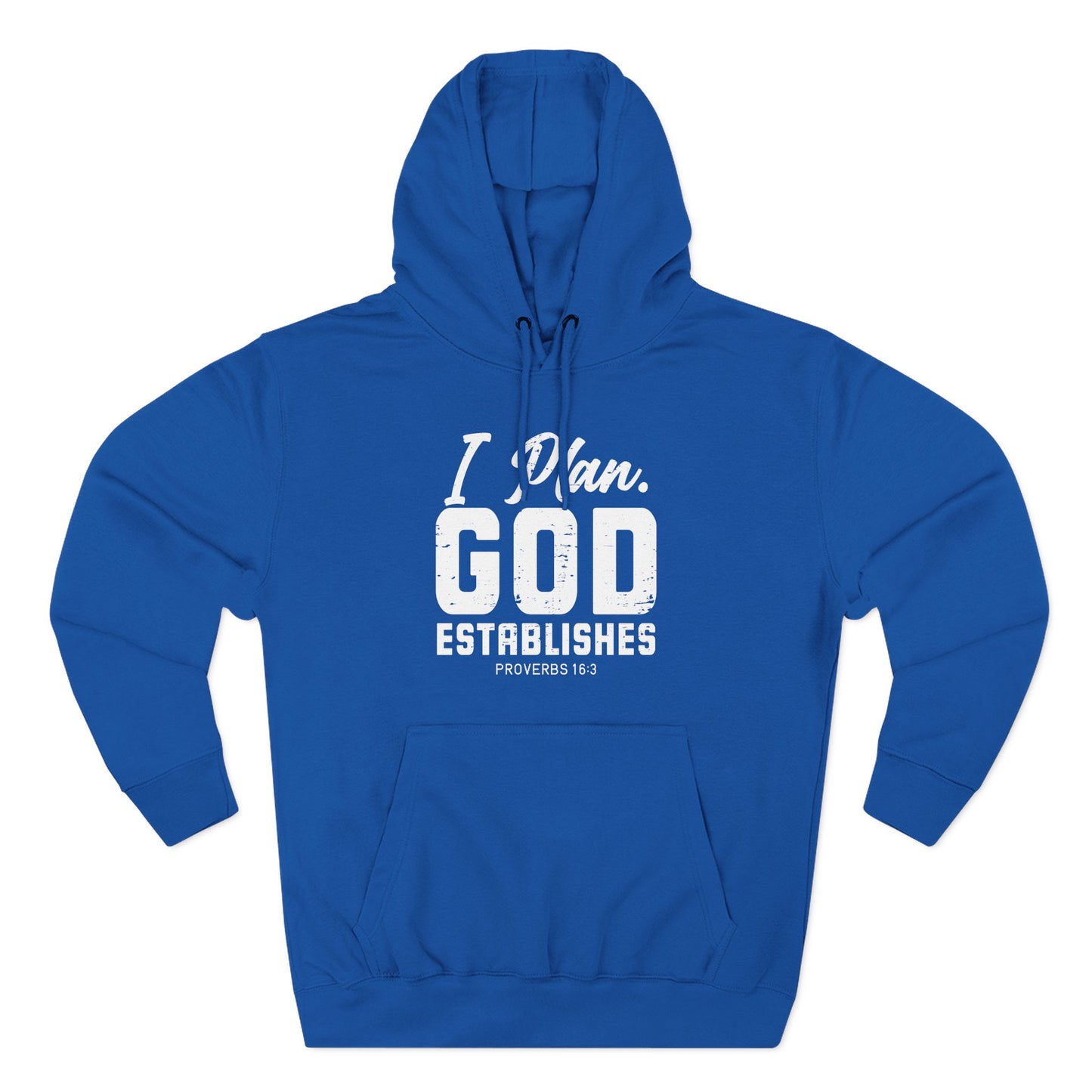 I Plan. God Establishes Hoodie