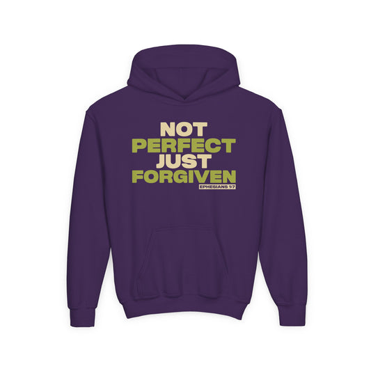 Not Perfect. Just Forgiven Youth Hoodie